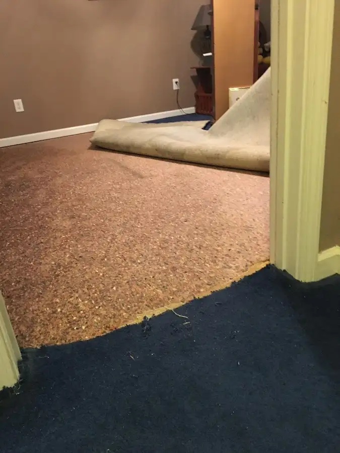 Carpet pad removal revealing water damage during Water Mitigation Services in La Plata