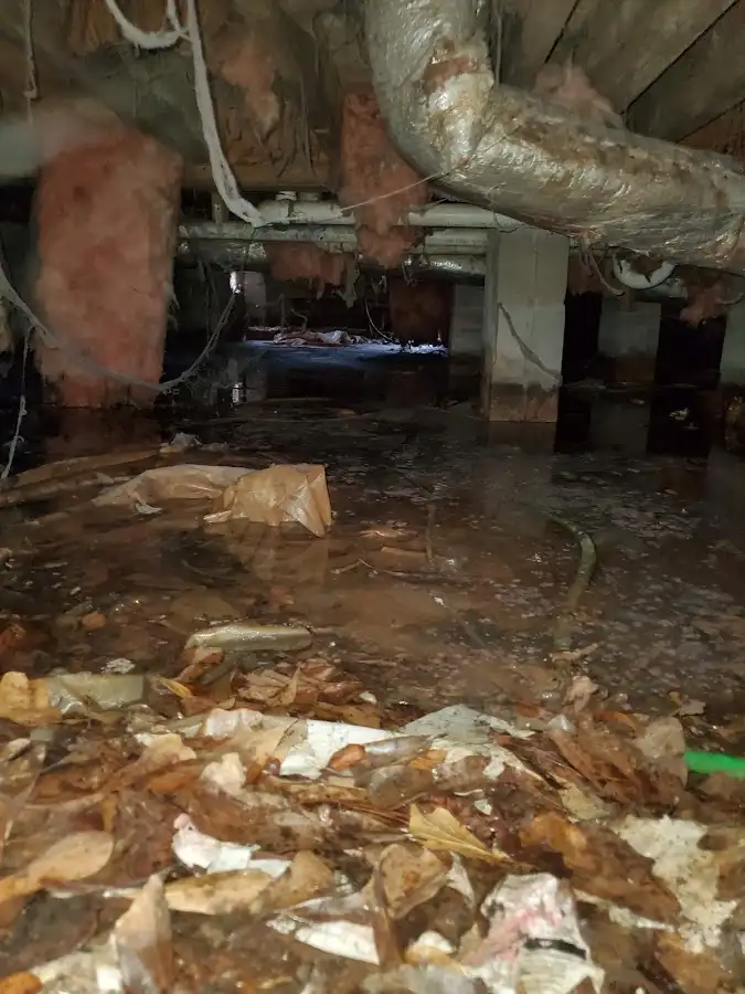 Crawl space flood assessment for Commercial Water Damage Restoration in La Plata