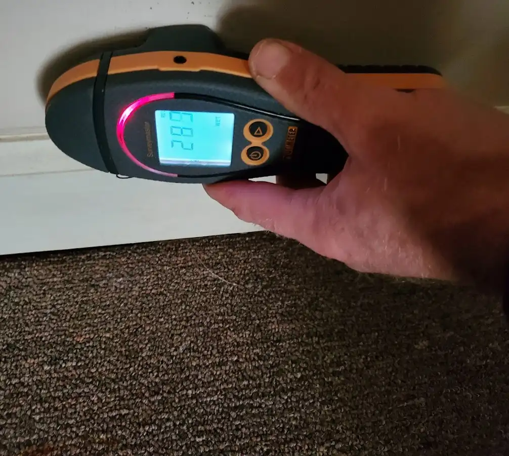 Moisture detection at baseboard during Burst Pipe Cleanup in La Plata